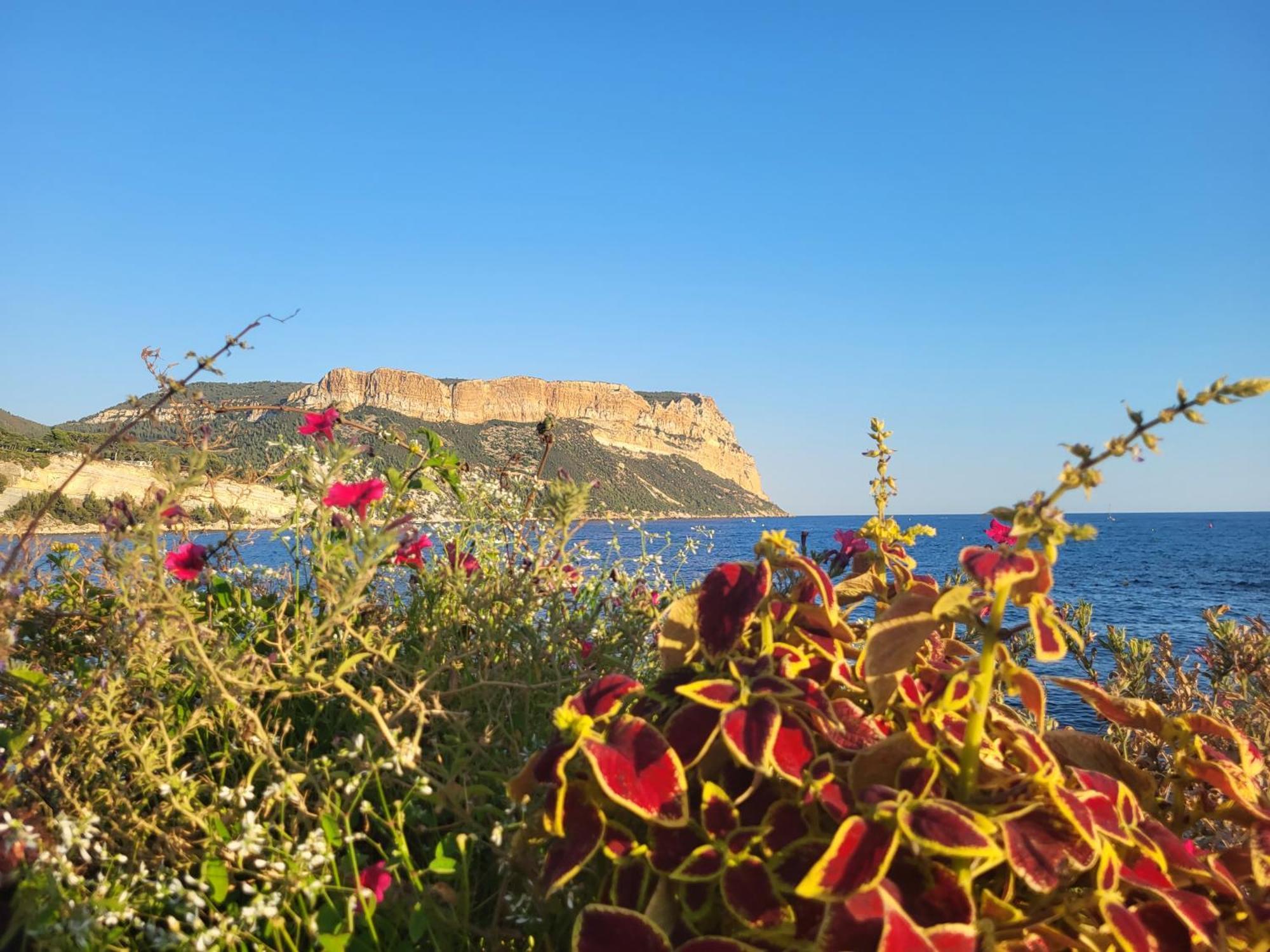 Marseille Bb Daire Dış mekan fotoğraf